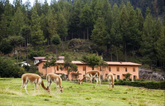 Porcón Farm + Huambocancha Tour - Photo 7